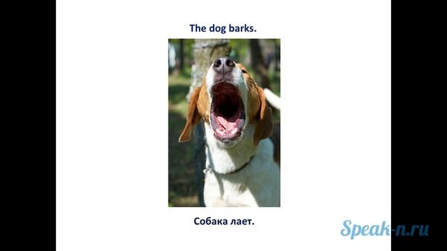 4_1_dog смотреть онлайн