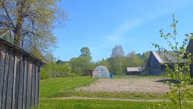 Природные растения