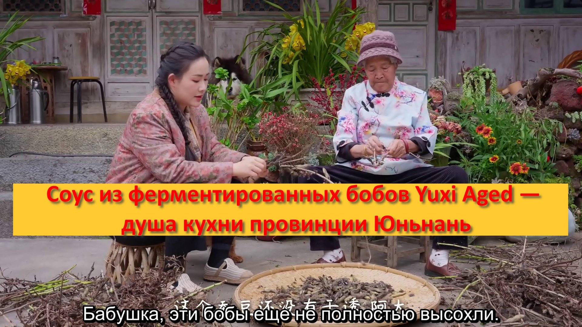Соус из ферментированных бобов Yuxi Aged — душа кухни провинции Юньнань смотреть онлайн
