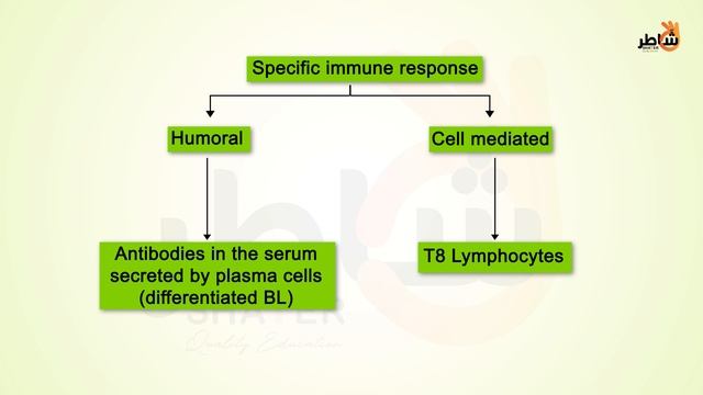 Induction of immune response + Role of TH смотреть онлайн