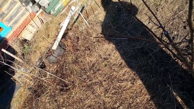 Сад весной - ЗАПОМИНАЕМ! Обработка. Пролив. Оценка после зимы. И как пробудить "спящие" саженцы!