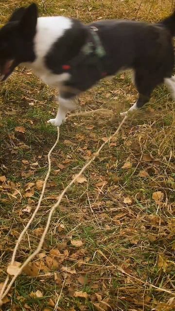 Ты знал о таком? смотреть онлайн