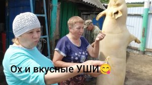 Жизнь в деревне 🏡// закололи свинью// наш метод // на всё своё время 🤷