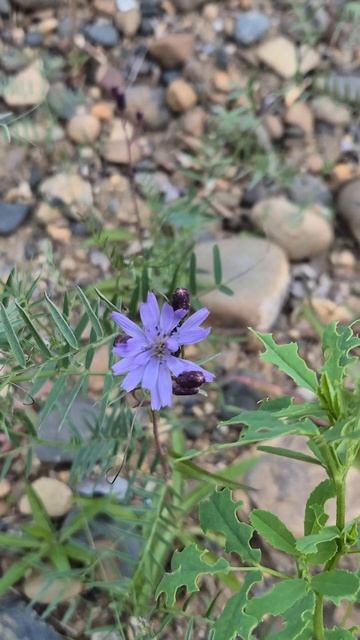 Природа в Якутии 🌿