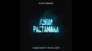 Slavik Pogosov - Душа растамана (KalashnikoFF Remix 2025)