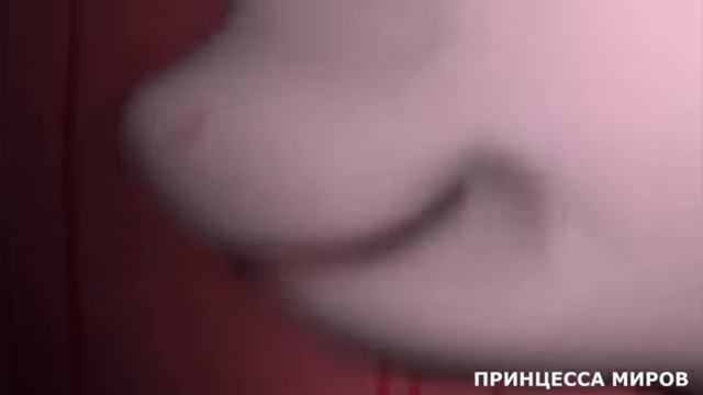 дин дон my little pony смотреть онлайн