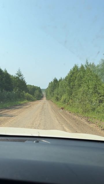 Дорога в Николаевск-на-Амуре