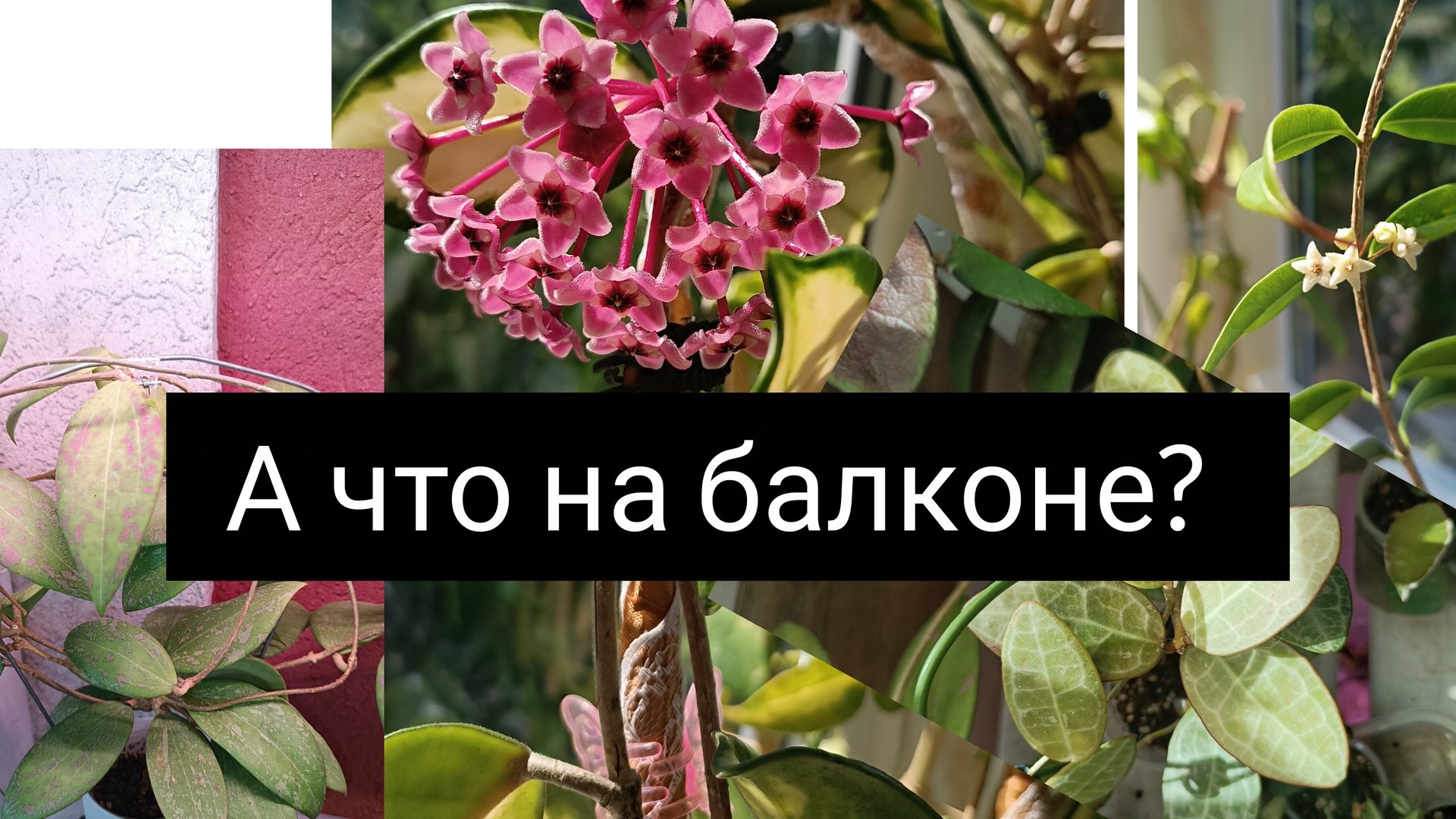 а что на балконе? смотреть онлайн