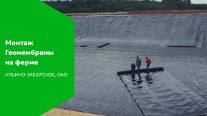 Поставка геомембраны для лагуны на ферме