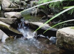 Поход в Мерешор