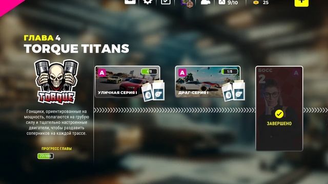 осмотр гонок Race Max Pro