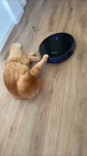 Домашнее такси смотреть онлайн