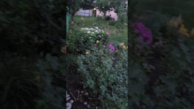 Кирилл смотреть онлайн