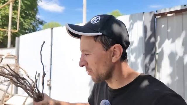 ПРЕОБРАЖЕНИЕ ЗАБРОШЕННОГО ДОМА. ЧТО ТУТ ТВОРИТСЯ. Строю террасу мечты смотреть онлайн