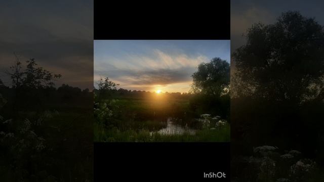 Июль_макушка лета💚💛🌼🌺☀️🌳.mp4 смотреть онлайн