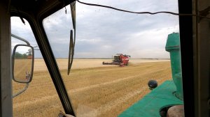 Уборка урожая глазами Виктора Анатольевича с кабины трактора! ( 1 часть )
