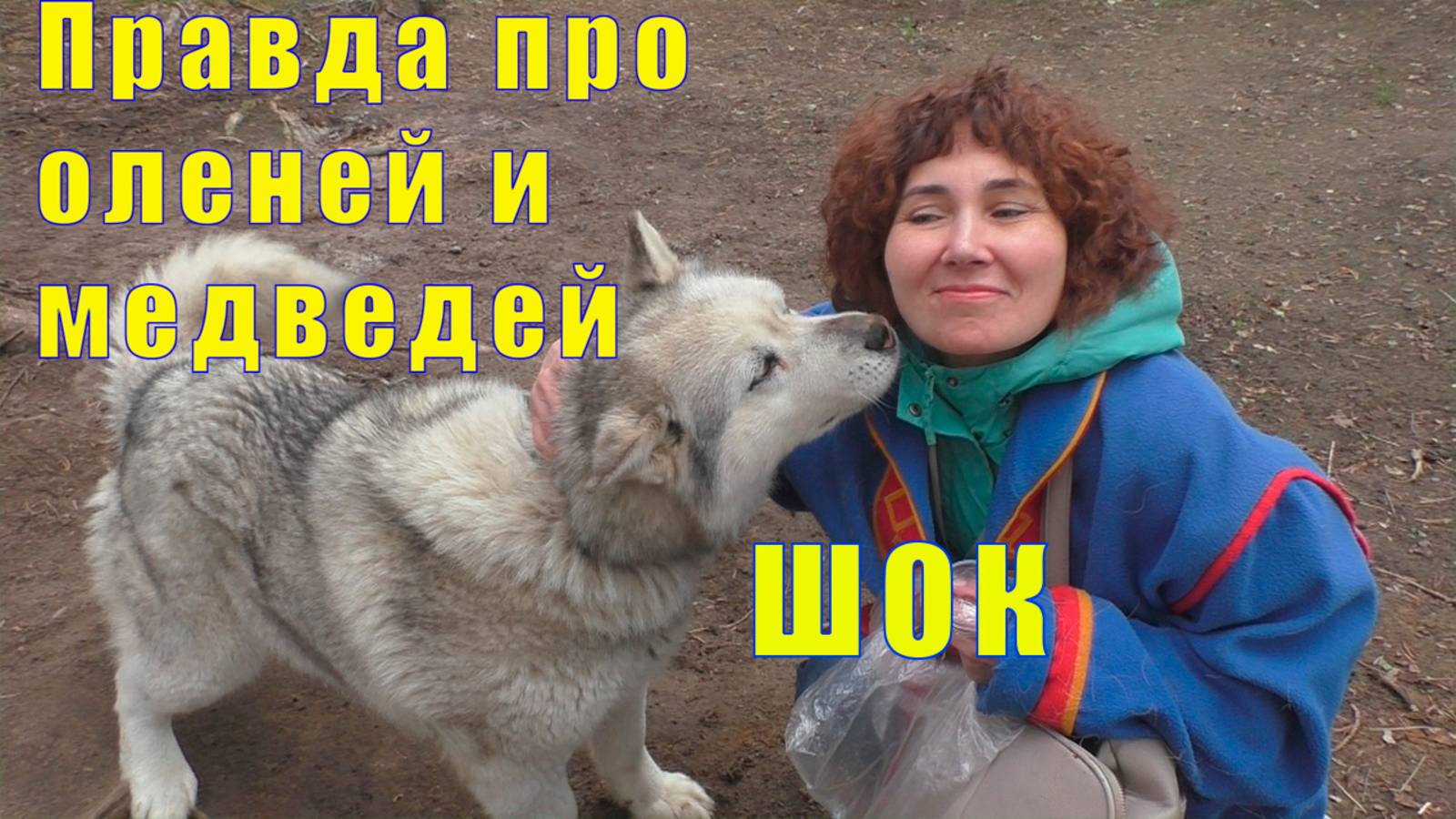 САМЬ СЫЙТ/ ВСЯ ПРАВДА ПРО ОЛЕНЕЙ МЕДВЕДЕЙ И МУРМАНСК / 24 июня 2025 г смотреть онлайн