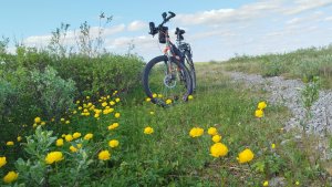 ВОРКУТА. Велопрогулка Выходного Дня.