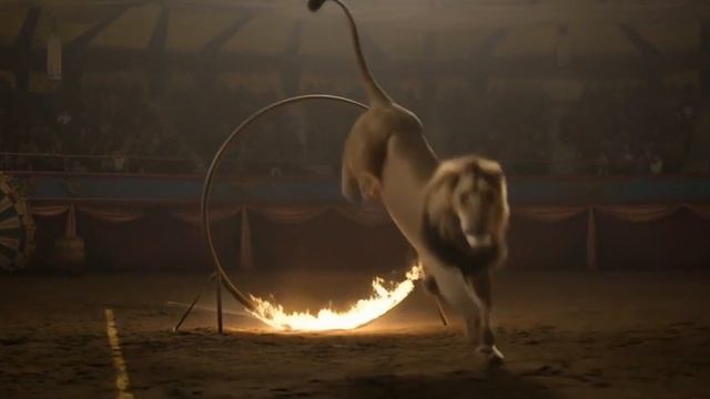 Лев прыгает в огненное кольцо | Ролики и видео для детей и взрослых|Создано с помощью ИИ | Подпишись