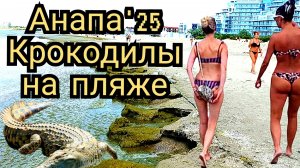 27 #АНАПА #ЖУТЬ! #КАМКА И ВОДОРОСЛИ НА ЦЕНТРАЛЬНОМ ПЛЯЖЕ. 04-07-2025