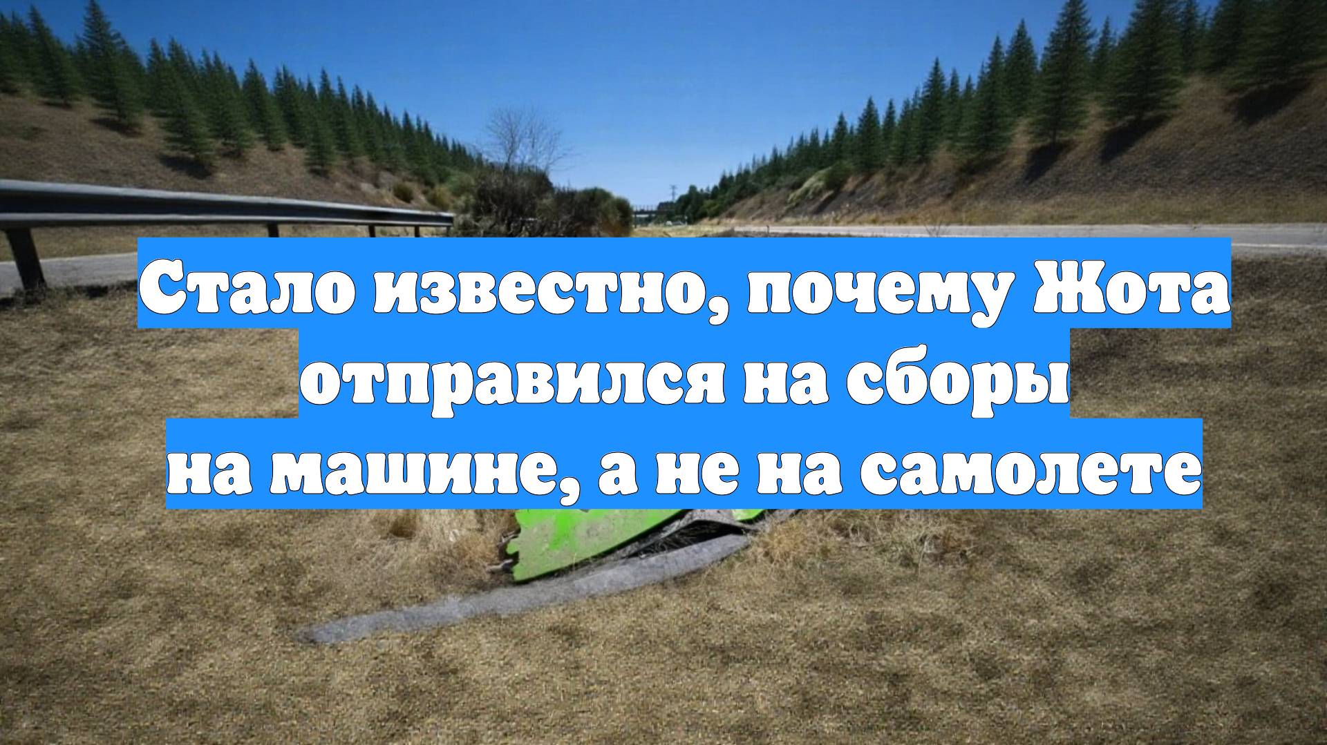 Стало известно, почему Жота отправился на сборы на машине, а не на самолете