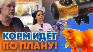 Аквариумные новости с Владимиром Ковалёвым (04.07.2025). Корм идёт по плану!