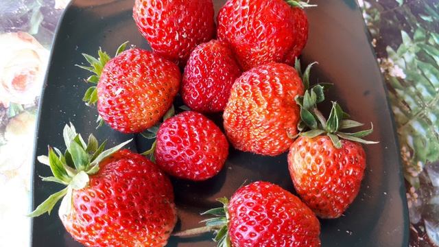 2068.  Посев клубники(земляники) в июле.