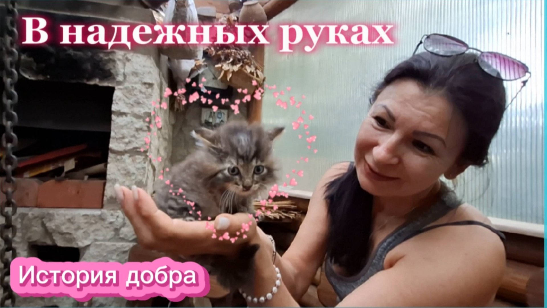 Котята в надежных руках: История добра 🐾❤️
