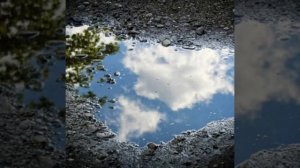 Александр Зацепин (куда уходит детство)