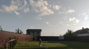 Я играю со своей собакой бусей в футбол. Это был угар.