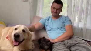 Самые Невероятные Вещи Найденные Внутри Животных