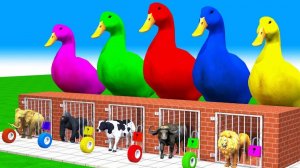 Мультики про животных, мультфильмы для деток, мультики с песенками, изучаем цвета на английском