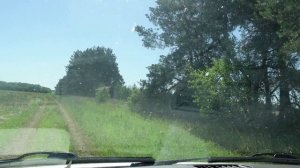 КАКОЙ МЕД С ГРЕЧИХИ ?