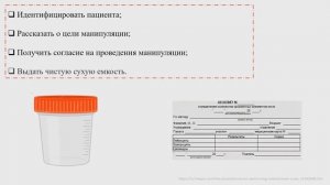 Анализ мочи по Нечипоренко