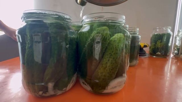 Маринованные огурцы как в магазине. Рецепт. смотреть онлайн