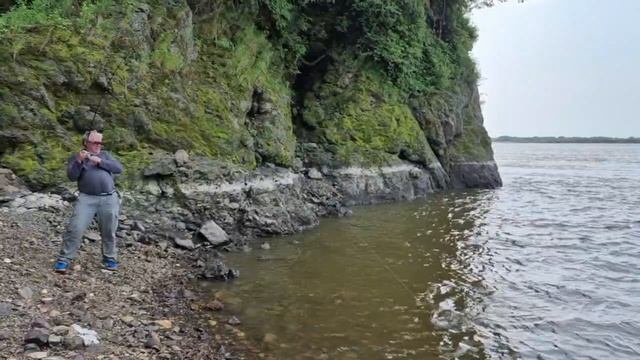 Ауха, эндемик Амура