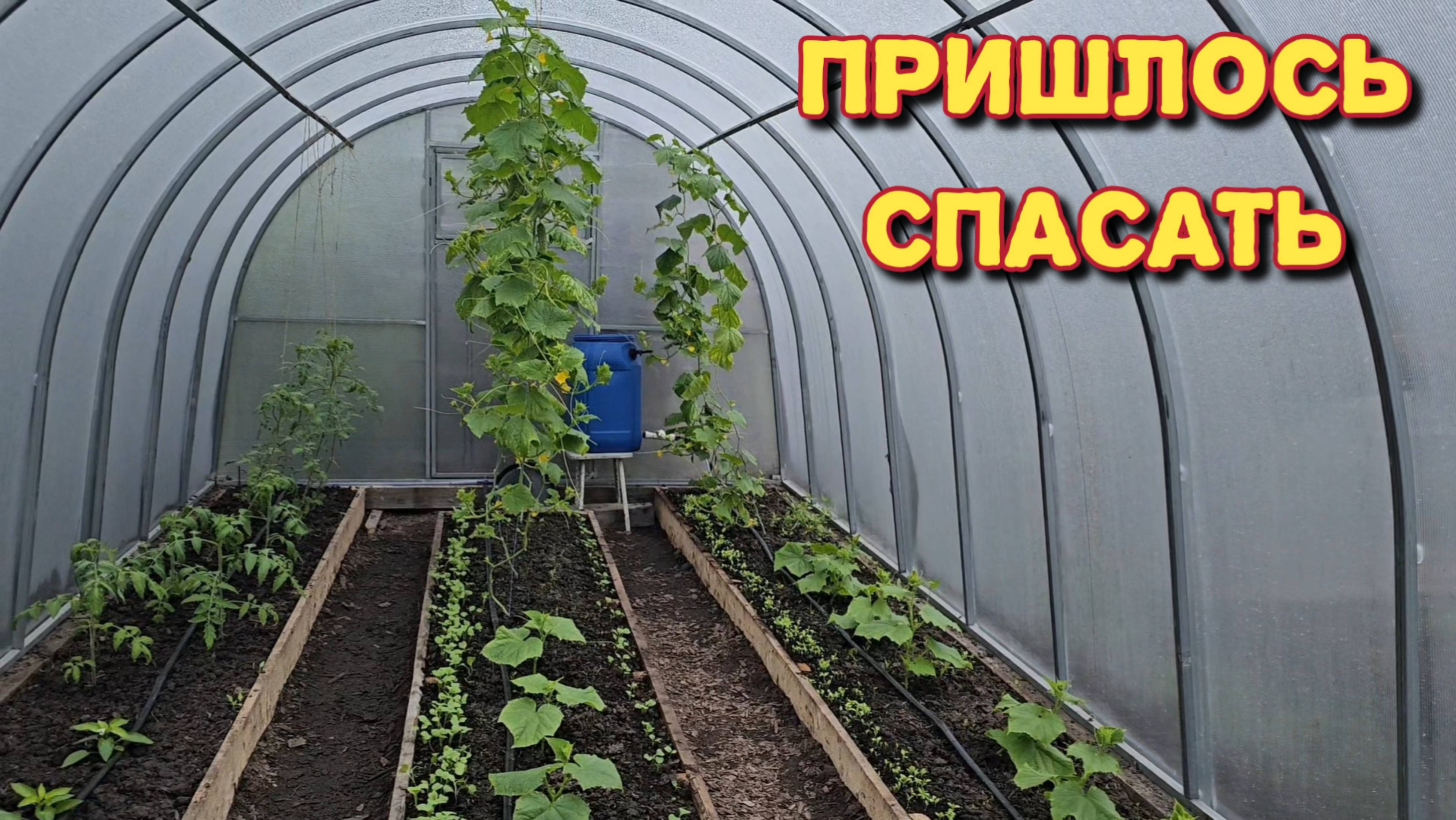 Спасаю свой огородик от клеща/готовлю котлеты из щуки/показала нашу работу. смотреть онлайн