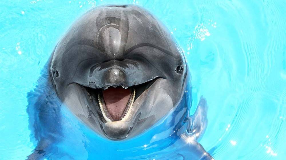 хоккей по четвергам от 03.07.2025