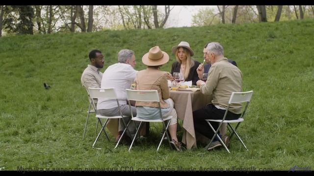 Этот клип покажет, как звучит настоящая свобода - Chainlink Melody -- Podington Bear -- Said Lion To