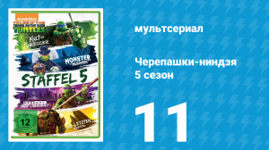 Черепашки-ниндзя 5 сезон 11 серия «Рафаэль: Апокалипсис Мутагена. Часть 1» (мультсериал, 2017)