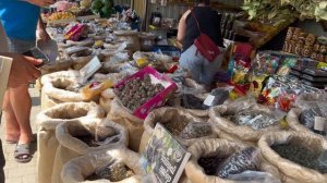 Поселок Небуг