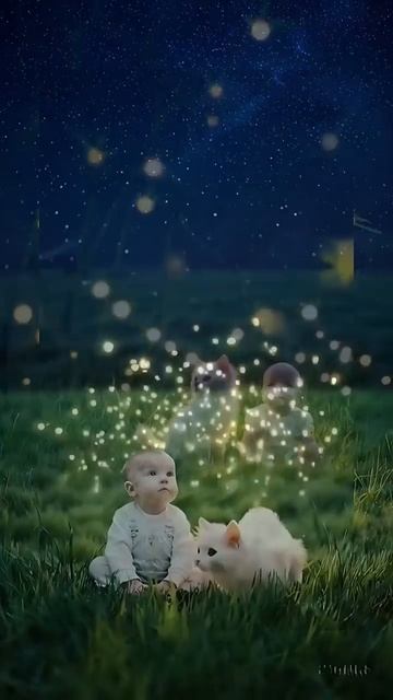 Котик и малыш смотрят на светлячков 🐱👶 смотреть онлайн