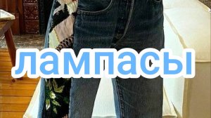 Лампасы