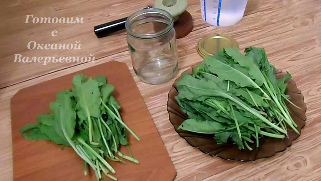 Консервированный щавель. Только щавель и вода... Готовим с Оксаной Валерьевной. смотреть онлайн