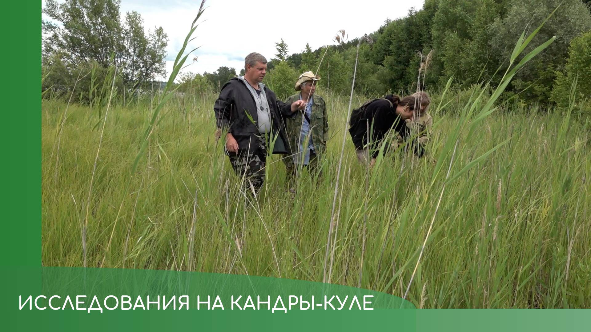 Исследования на Кандры-куле смотреть онлайн