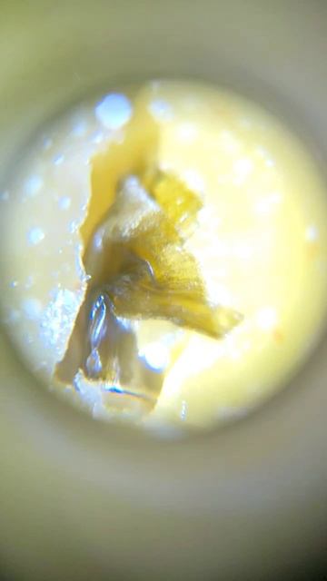 Вааау СЫР под МИКРОСКОПОМ😲 #шок #жесть #микробы #микроскоп #подмикроскопом #сыр #yummy #shorts