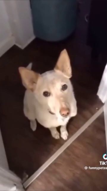 Намёки смотреть онлайн