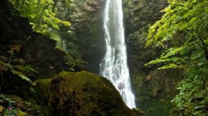 Отличная расслабляющая музыка для сердца и сосудов 🌿 Музыка лечит душу, снимает стресс #3