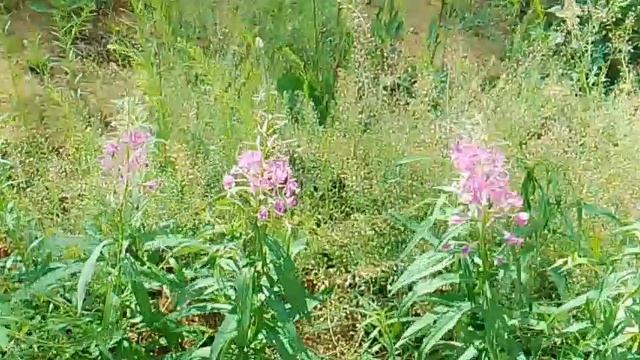 Микрорайон с малоэтажной застройкой смотреть онлайн