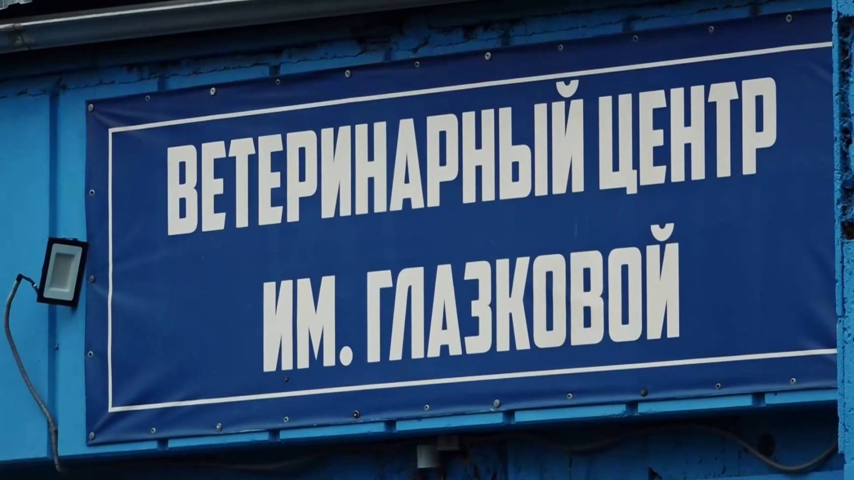 НЕ ЛЕЧАТ, А КАЛЕЧАТ смотреть онлайн